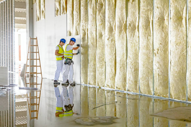 Best Cellulose Insulation in Flower Hill, NY